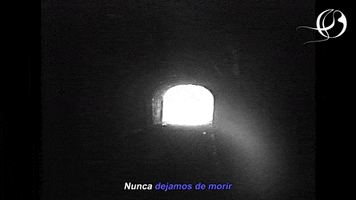 Morir After Life GIF by Medalla