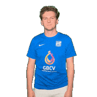 Hupdieblauwen Sticker by SDC Putten