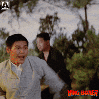 Martial Arts Reaction GIF by Arrow Video