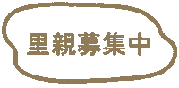 Frame Border Sticker