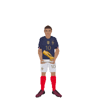 France Football Sticker by Panini America