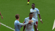 Happy Celebration GIF by Aston Villa FC
