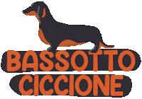 Dog Bassotto Sticker