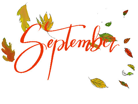 Illustration Fall Sticker by lakshsarkar