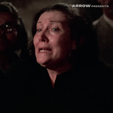 Italian Film GIF by Arrow Video