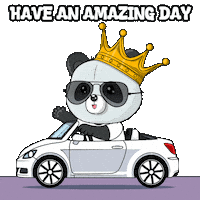 Happy Car Sticker by PandaPals