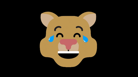 GIF by UCCS