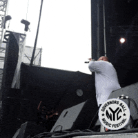 action bronson governors ball GIF by GOVBALL NYC