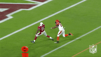 Arizona Cardinals Football GIF by NFL