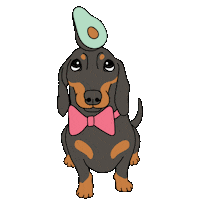Wiener Dog Bowtie Sticker by Love Harlso