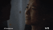 Usa Network Television GIF by Treadstone