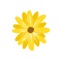 Flower Sun Sticker