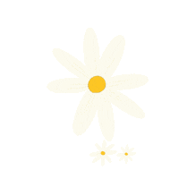 Daisy Flower Flowers Sticker