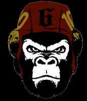 Water Polo Gorilla GIF by DUCKO