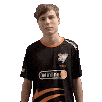Twitch Dota Sticker by Virtus.pro