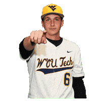 Baseball Sticker by WVU Tech Golden Bears