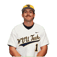 Baseball Sticker by WVU Tech Golden Bears