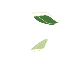 Grow Falling Leaves Sticker by LILLYDOO