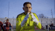 Dcfc GIF by Detroit City FC