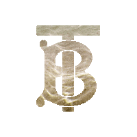 Fashion Summer Sticker by Burberry
