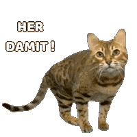 Want It Give Me Sticker by Kitty Fuchs