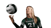 Beach Volleyball Sticker by Hawaii Athletics
