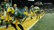 north dakota state football GIF by NDSU Athletics