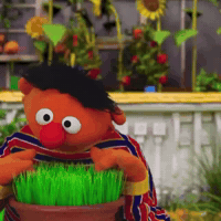 Elmo Wtf GIF by Respective