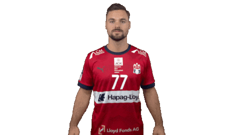 Click Handball-Bundesliga Sticker by LIQUI MOLY HBL