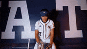 Georgia Tech Atlanta GIF by Georgia Tech Yellow Jackets