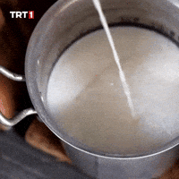 Baby Kids GIF by TRT