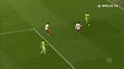 Football Sport GIF by VfL Wolfsburg