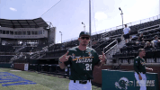 baseball wave GIF by GreenWave