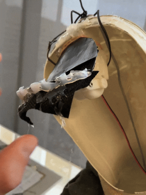 Onf Nfb GIF by Alex Boya