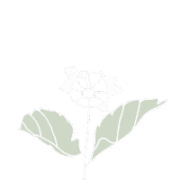 Art Blooming Sticker by Babybluecat