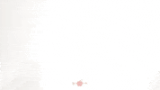 Pound It Best Friend GIF by Applegate