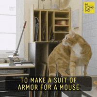 Mouse Armor GIF by 60 Second Docs