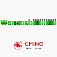 Yanga GIF by chino asset tracker