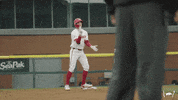 Ncaa Baseball Celebration GIF by Arkansas Razorbacks