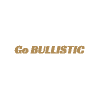 Workout Bullet Sticker by BULLIT USA