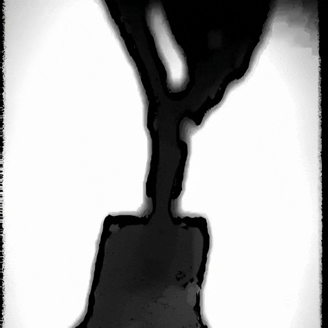 Halloween Haunting GIF by PBS Digital Studios