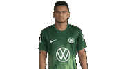 Football No Sticker by VfL Wolfsburg