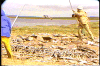 archaeology cmhgif GIF by Canadian Museum of History