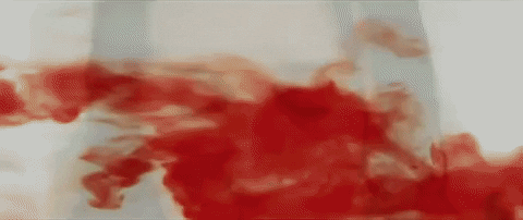 Horror Films Scary Movies GIF by ALTER – The Best Horror Films