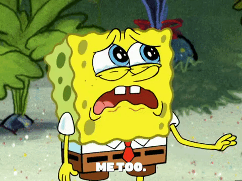 season 4 GIF by SpongeBob SquarePants