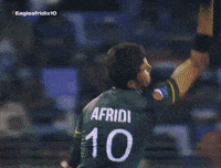King Legend GIF