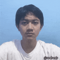 Sedseda GIF