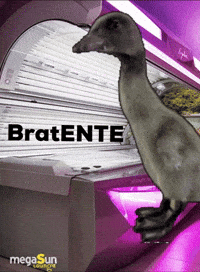 Sun Tanning GIF