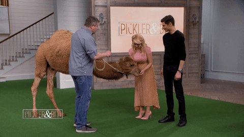 kelliepickler benaaron GIF by Pickler & Ben