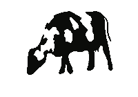 Black And White Cow Sticker by Studio Paper